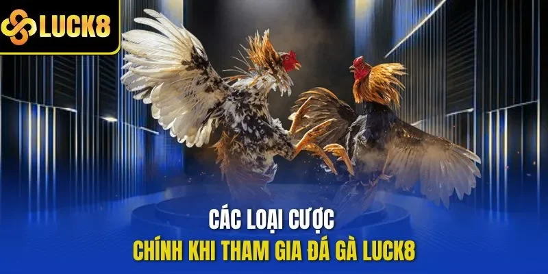 Các loại cược chính khi tham gia đá gà LUCK8