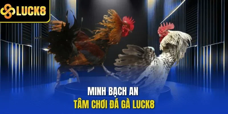 Minh bạch an tâm chơi đá gà LUCK8
